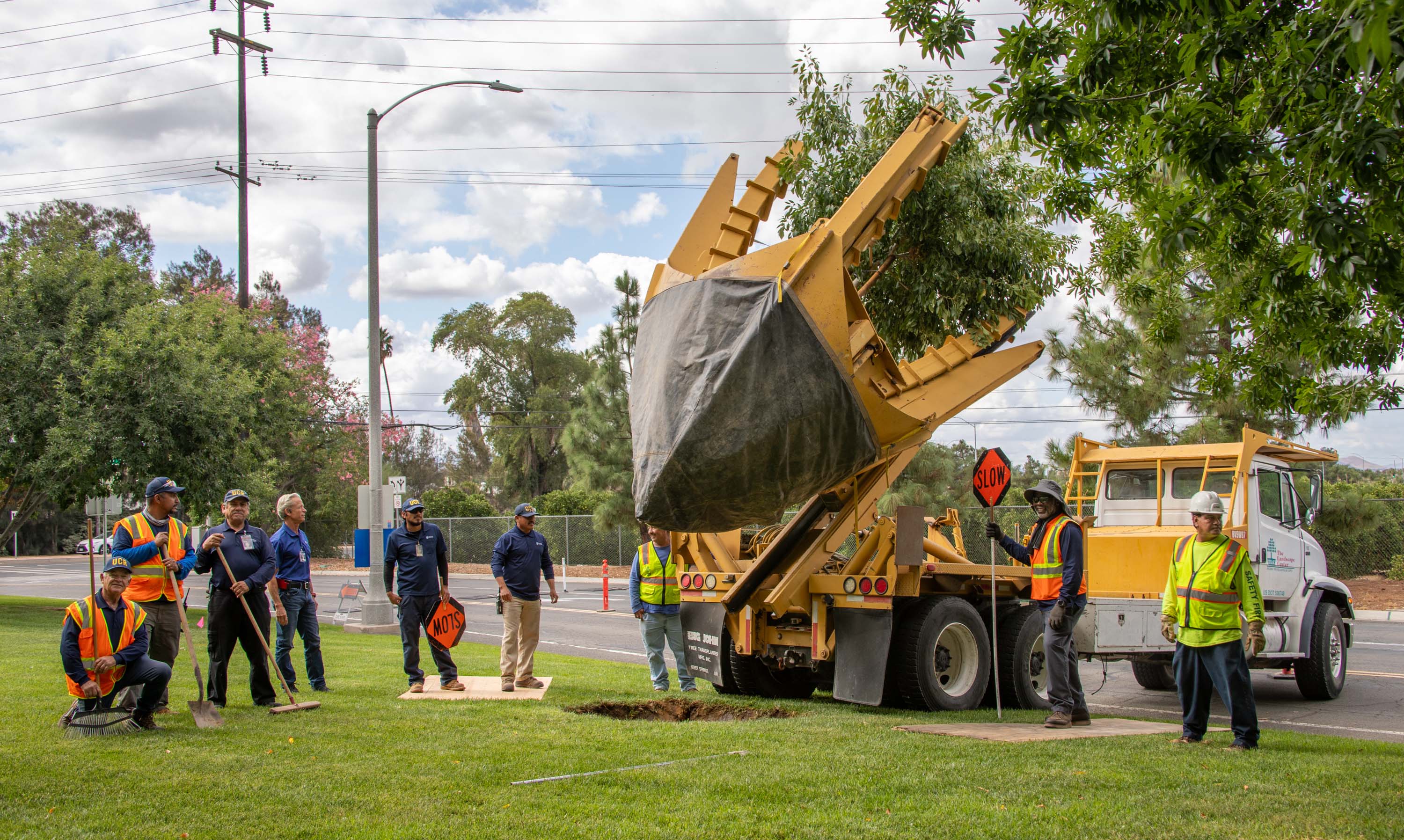 Group of landscapers in construction vests using equipment to lower a tree into the ground next to a parking lot