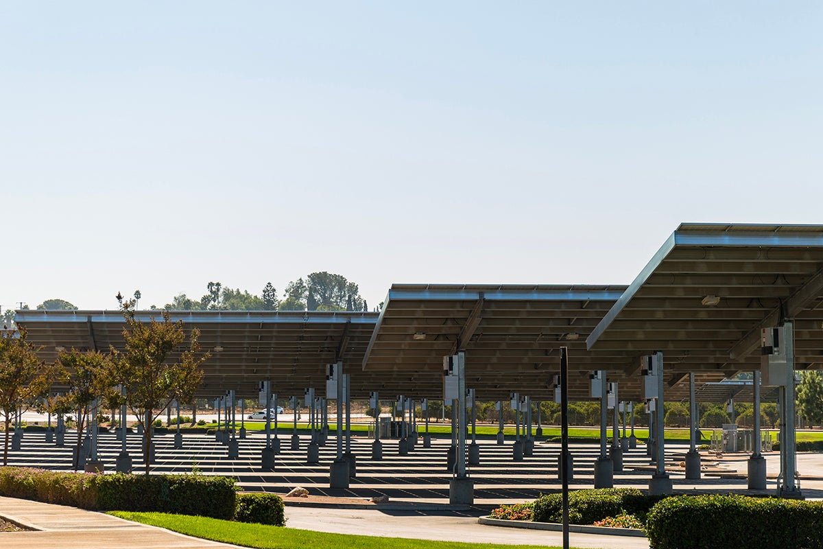 solar farm panels