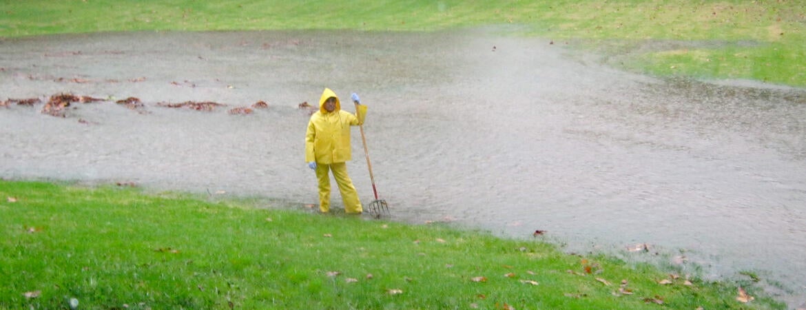 A groundskeeper surveys a rain-soaked field of green grass