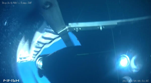 Submarine drone enters water