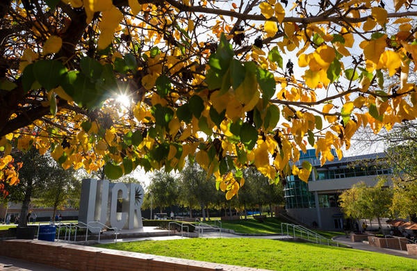 UCR Fall Colors 