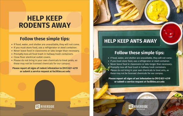 Flyers with preventative tips to keep rodents and ants away