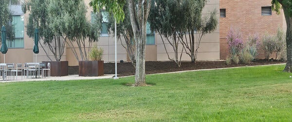 Mulch and landscaping