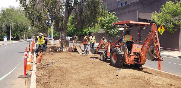 Landscapers using equipment to level soil for rose planting