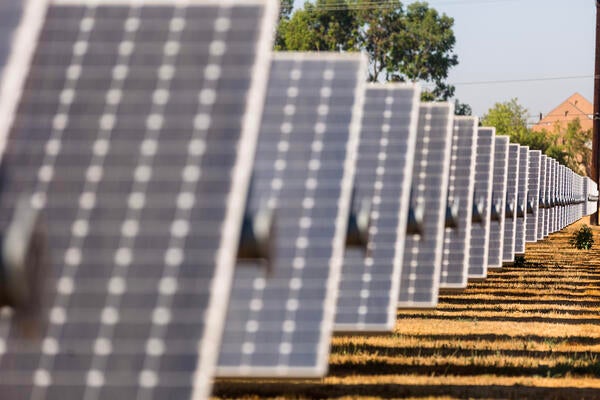 solar farm panels