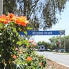 Orange roses with a welcome to UCR sign in the background
