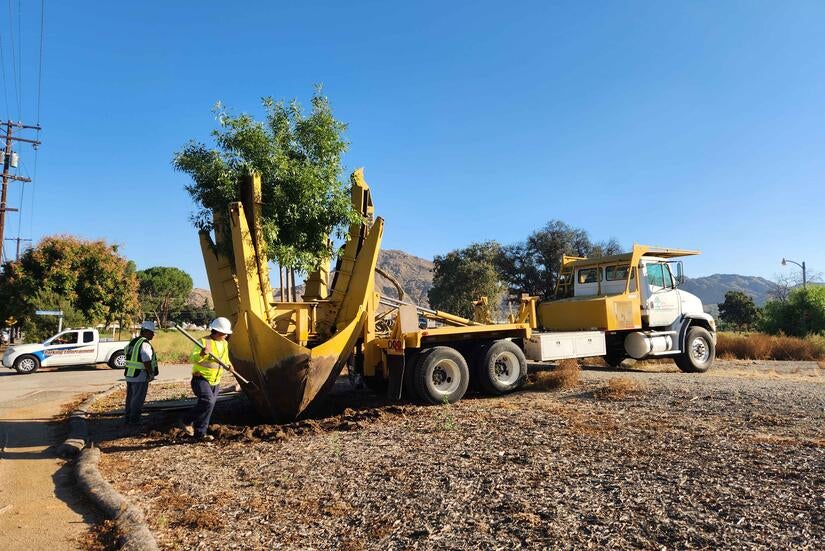 Specialized vehicle about to haul a tree away from the ground