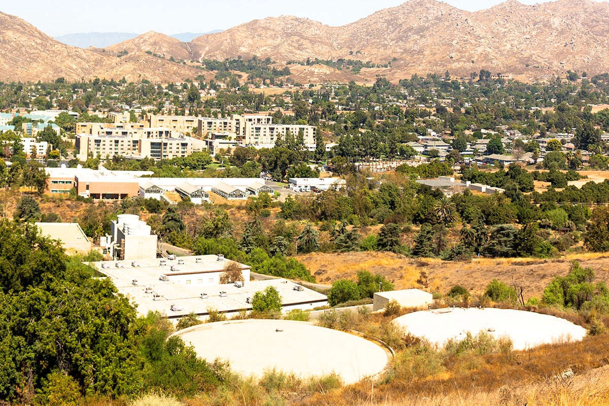 tanks overlooking campus