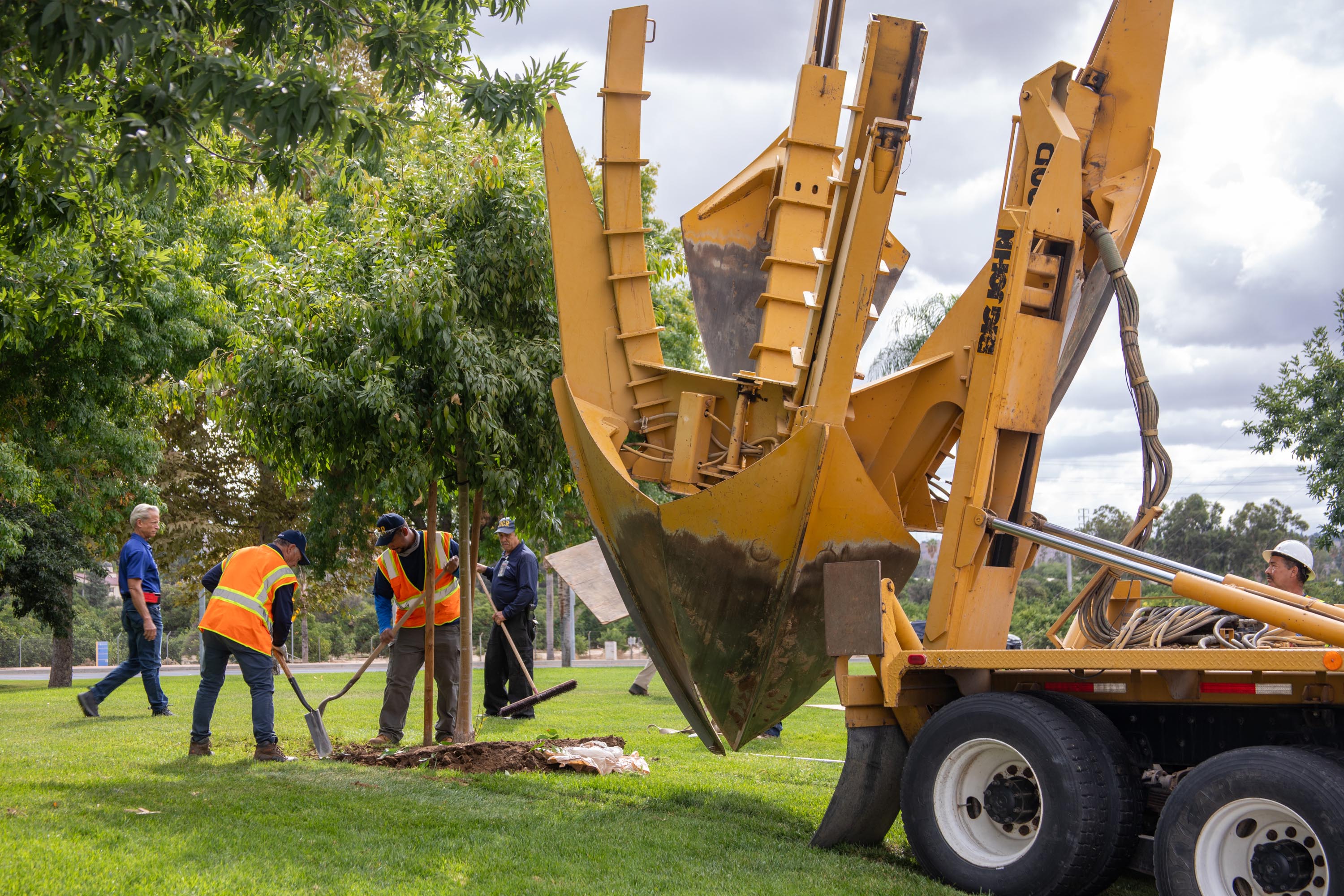 Two landscapers plant a tree next to equipment